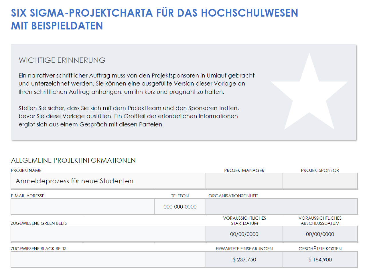  Beispielvorlage für eine Six-Sigma-Projektcharta im Hochschulbereich