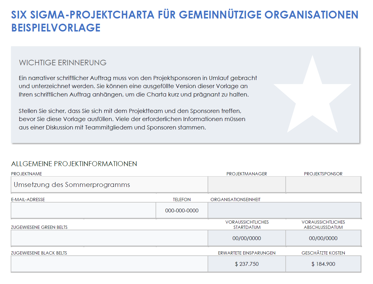  Beispielvorlage für eine gemeinnützige Six-Sigma-Projektcharta